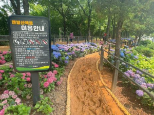강북구, 도심 속 힐링공간 `맨발걷기 산책로` 4곳 신규 개방