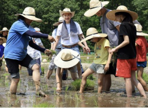 도봉구, 바지 두 단 걷고 한 손엔 벼 한모