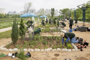 양천구, ˝주민이 직접 만들고 가꾸는 정원˝ 안양천에 `미니정원` 20개 조성