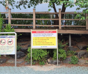 여름철 하천 불법행위 철퇴…강북구, 무단점용 집중 점검