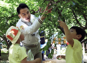매실향 가득한 초안산에 웃음꽃 가득…도봉구 창2동 매실축제 현장