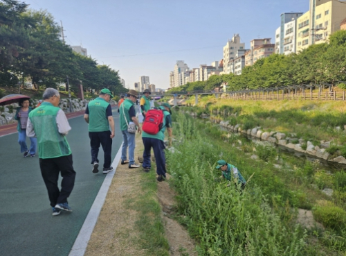 은평구, 불광천 “깔따구” 집중 방역 나서