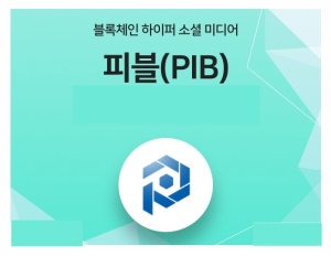 피블(PIBBLE), 원화마켓 CPDAX 상장 통해 ‘피블 플랫폼’ 오픈 준비 본격화