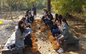 서울대공원, 코로나 이기는‘4종 산림치유 프로그램’운영 개시