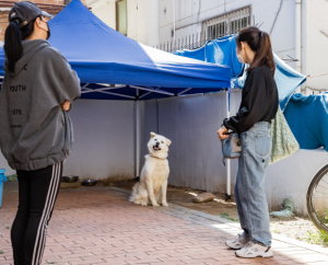 반려동물과 행복한 공존…‘반려동물학교’ 운영
