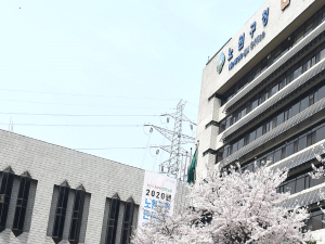 노원구, 취약계층 지원과 코로나19 방역 강화를 위해 하반기 공공일자리 확대... 494명 모집