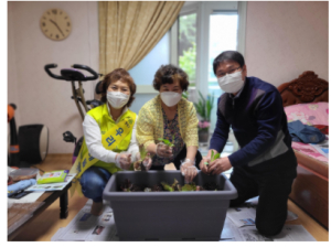 상자텃밭 가꾸며 외로움 달래요