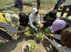 은평구, 은평청소년마을학교 선택프로젝트 참여 학교 모집
