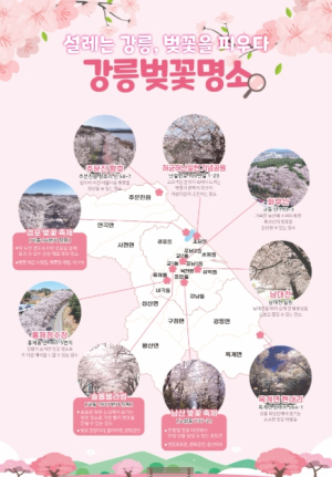 대한노인회 강릉시지회 2025년 정기총회 개최