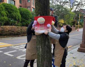 폐양말목으로 가로수에 온기를...강북구, `양말목 나무옷 거리 전시회` 행사 성료