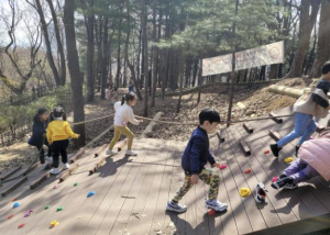 성동구, 4월부터 유아숲체험원 운영…자연과 교감하는 숲 해설 프로그램까지