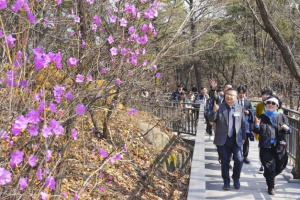 봉화산 동행길, 누적 이용객 300만 명 돌파! 중랑구, 걷기 좋은 도시로 자리매김