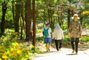 강북구, 북한산 품은 `산림치유 웰니스` 도시로 도약