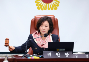 서울시의회 문화체육관광위원회 김경 위원장, “디스커버서울패스에 CBDC 기능 도입 촉구”