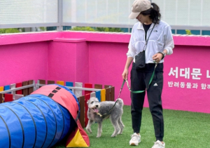 서대문구 ˝동물등록, 선택이 아닌 필수입니다˝