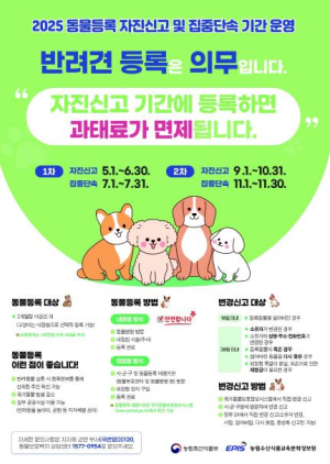 강북구, 2025년 반려동물 등록 자진신고 기간 운영
