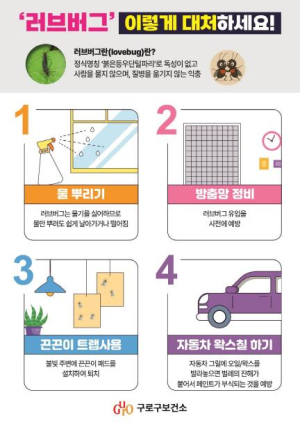 구로구, 여름철 해충 방역과 러브버그 대응 강화