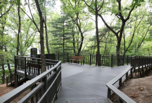 보행약자도 노원에서라면 안전하게 숲길을 산책할 수 있어요~노원구, 초안산 무장애숲길 1단계 구간 개통
