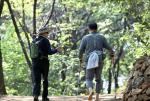 서대문구 백련산 능선 등산로 2km 구간 `맨발길` 새 단장