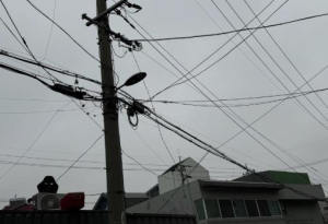 양천구, 거미줄 전선 걷고 안전 더한다…공중케이블 42km 정비