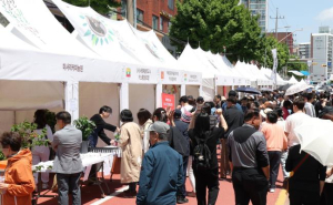 전 세계 커피와 로컬 감성, 음악이 어우러진 커피 여행...노원구, 제3회 경춘선 공릉숲길 커피축제 개최