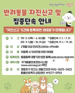 영등포구, 2개월 이상 반려견 동물등록 신고 안내