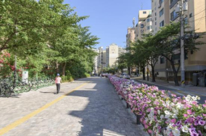 양천구, 20년 지난 ˝신월동 걷고 싶은 거리˝ 보행자 중심 명품거리로 새단장