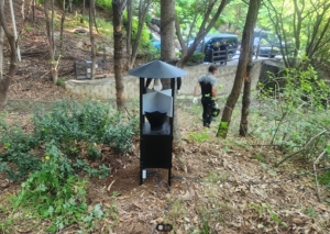서울시, 자연과 공존하는 새로운 생활불쾌곤충 친환경 관리 전략 추진