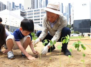 강남구, 주민과 함께 양삼(케나프) 심으며 도심 속 녹지 조성