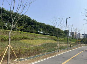 성동구, 도심과 자연이 만나는 `바람길숲` 조성…미세먼지 저감 효과까지!