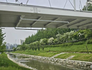 보행자 중심의 도시 마포, `성미다리` 정비와 `설렘길` 개통으로 걷기 좋은 길 만들다