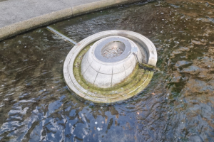 서울시의회 성흠제 의원, 청계천에 던진 작은 동전 줄었지만… 여전히 누군가에겐 ‘희망’이 되고 있다