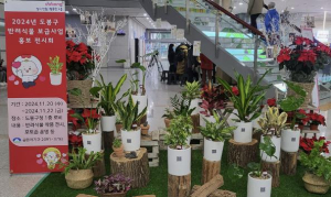 도봉구, 어르신 반려식물 보급 서울시 1등…만족도 98%