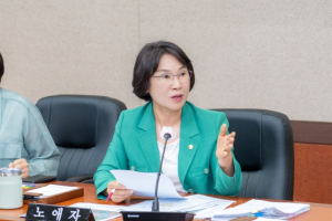 강남구의회 노애자 의원, 국가유공자 위한 실질적인 예우 및 지원 체계 구축에 앞장서