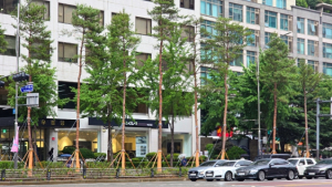 박강수 마포구청장, ‘품격있는 녹색 특화거리’ 현장 점검 나서