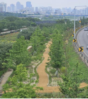 동대문구, 중랑천 바람길숲 `초록사잇길` 조성