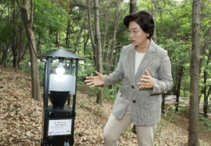 은평구, 여름철 대발생 `러브버그` 친환경 방제 총력