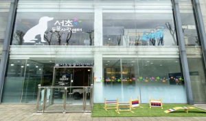 서초구, 여름 휴가철 `반려견 돌봄쉼터` 운영