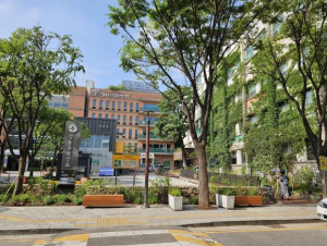 성동구, 치유와 숲이 어우러진 동행가든 `유화원` 조성