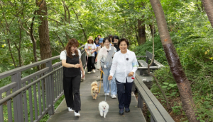 김미경 은평구청장, 민선 8기 3주년 ‘현장 속으로’…“은평의 변화는 계속된다”