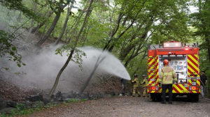 서울시, 러브버그 등 생활불쾌곤충 친환경 방제 적극 추진… 시민불편 최소화