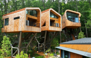 최초인 줄은 알았는데, 겪어보니 최고인 듯!? 노원구, 수락산 동막골 자연휴양림 `수락 休` 마침내 정식 개장