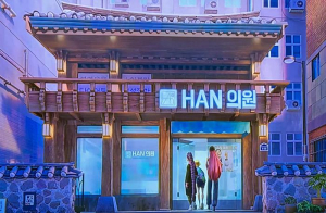 동대문구 서울한방진흥센터, 글로벌 히트작 `케데헌` 등장 `Han의원`으로 주목