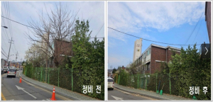 구로구, `생활주변 위험수목 처리 지원` 하반기 접수 시작