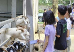 강동구, 청소년 자연 체험 캠프 운영…디지털 OFF, 자연 ON