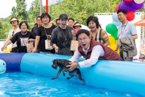 도심 속 반려견 피서지! 함께 가보개? 마포구, 댕댕이 물놀이장 개장!