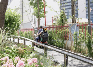 강서구, 질척거리던 흙길을 아름다운 정원길로 조성