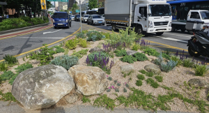 한뼘정원·교통섬정원… 서울시, 1년 반 동안 도로변 곳곳에 2,180개 정원 조성