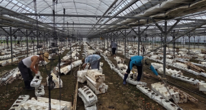 금천구의회 정재동 의원, 전남 나주 침수 피해 농가 복구활동 참여