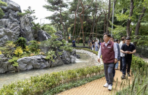 바위폭포 아래서 뛰노는 반려견, 마포구, `댕댕이 쉼터`로 놀러오세요!